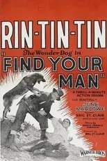 Póster de Find Your Man