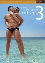 Poster de la película Fire Island Cruising 3 - Películas hoy en TV