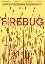 Película Firebug