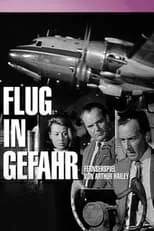 Flug in Gefahr portada