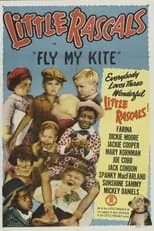 Portada de Fly My Kite