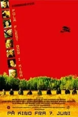 Poster de la película Folk flest bor i Kina - Películas hoy en TV