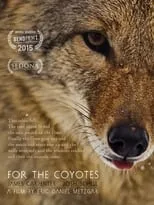 Póster de la película For the Coyotes