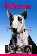 Poster de la película Frankenweenie - Películas hoy en TV