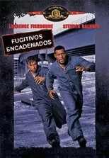 Película Fugitivos encadenados