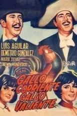 Poster de la película Gallo corriente, gallo valiente - Películas hoy en TV