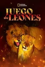 Póster de la película Game of Lions