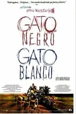 Portada de Gato negro, gato blanco