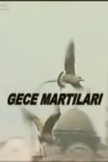 Película Gece Martıları