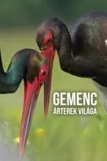 Película Gemenc - Árterek világa