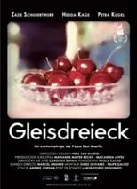 Gleisdreieck portada