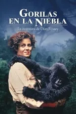 Película Gorilas en la niebla