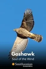 J.V. Martin interpreta a  en Goshawk - Soul of the Wind