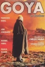 Póster de la película Goya en Burdeos