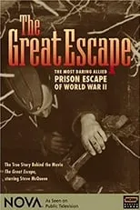 Película Great Escape