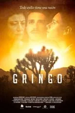 Poster de Gringo