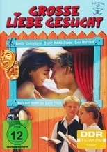 Póster de la película Große Liebe gesucht