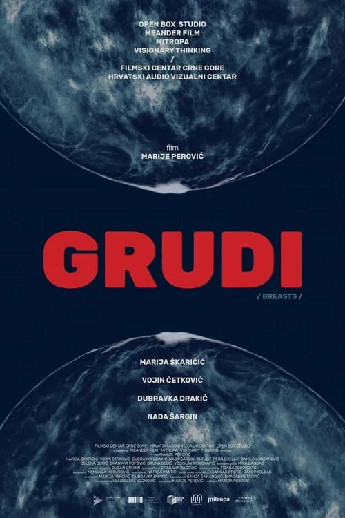 Poster de la película Груди - Películas hoy en TV