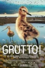 Portada de Grutto! De reis van onze nationale vogel