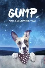 Poster de la película Gump - Una Lección de Vida - Películas hoy en TV