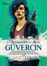 Película Güvercin