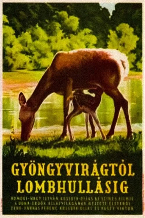 Póster de la película Gyöngyvirágtól lombhullásig