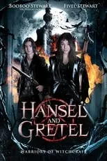 Poster de Hansel & Gretel: Warriors of Witchcraft