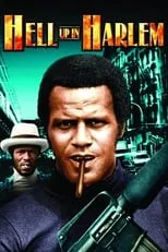 Póster de la película Harlem sangriento