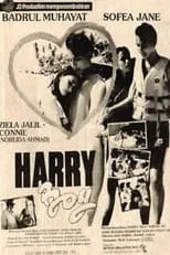 Póster de la película Harry Boy