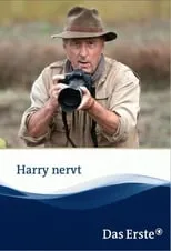 Película Harry nervt