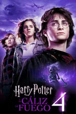 Poster de la película Harry Potter y el cáliz de fuego - Películas hoy en TV