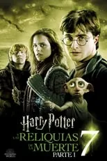 Poster de la película Harry Potter y las Reliquias de la Muerte - Parte 1 - Películas hoy en TV