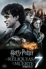 Poster de la película Harry Potter y las Reliquias de la Muerte - Parte 2 - Películas hoy en TV