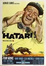 Póster de la película Hatari!