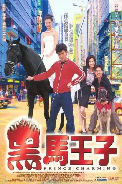 Póster de la película 黑馬王子