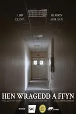 Póster de la película Hen Wragedd a Ffyn