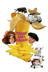 Poster de la película Herbie, torero - Películas hoy en TV