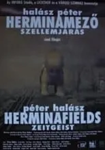 Póster de la película Herminamező - Szellemjárás