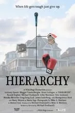 Película Hierarchy