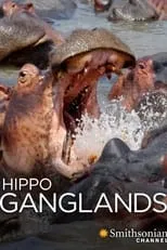 Portada de Hippo Ganglands