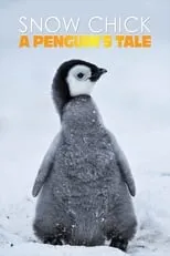 Poster de la película Historia de un pingüino - Películas hoy en TV