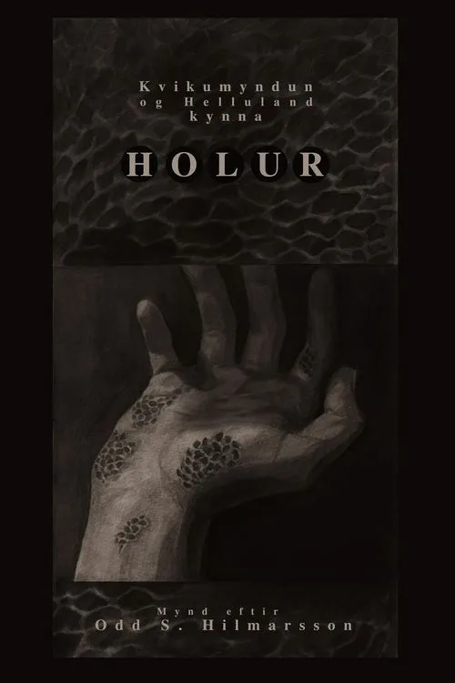 Póster de la película Holur