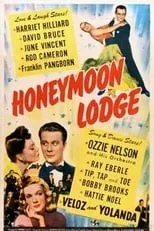 Póster de la película Honeymoon Lodge