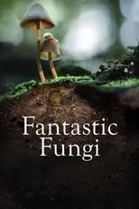 Póster de la película Hongos Fantásticos