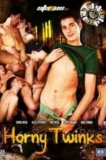 Película Horny Twinks