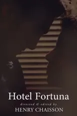 Póster de la película Hotel Fortuna