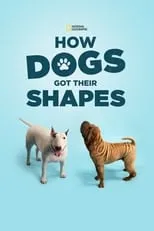 Película How Dogs Got Their Shapes