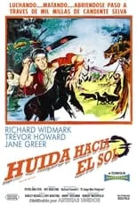 Poster de la película Huida hacia el sol - Películas hoy en TV