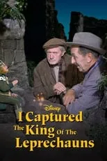 김기범 en la película I Captured the King of the Leprechauns