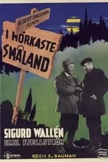 Póster de la película I mörkaste Småland